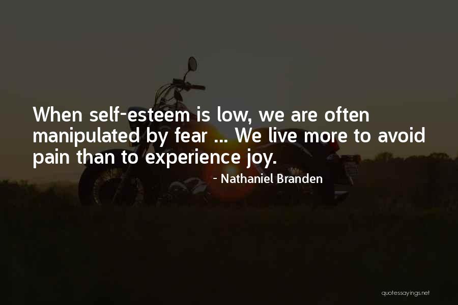 Low Self Esteem Quotes By Nathaniel Branden