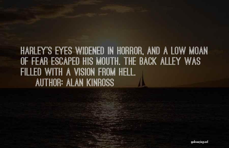 Low Vision Quotes By Alan Kinross