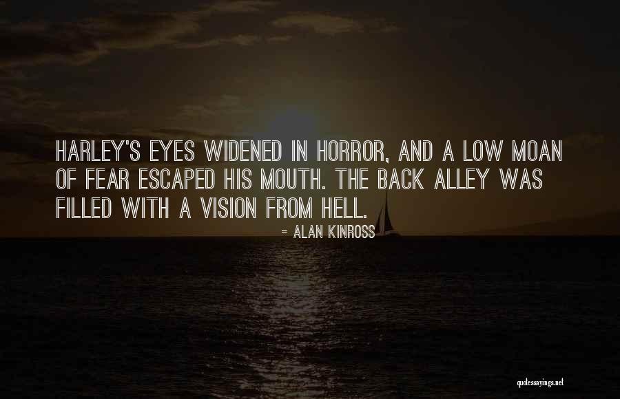 Low Vision Quotes By Alan Kinross