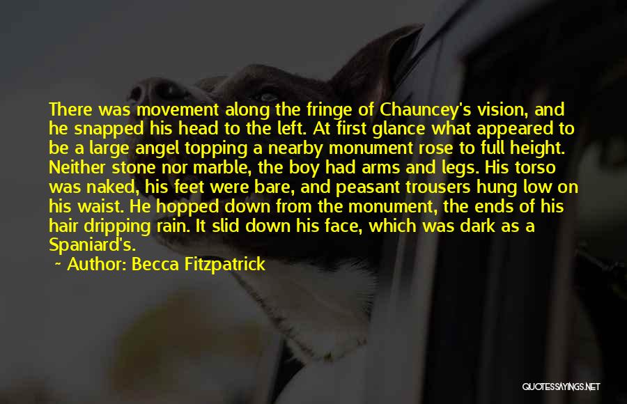 Low Vision Quotes By Becca Fitzpatrick