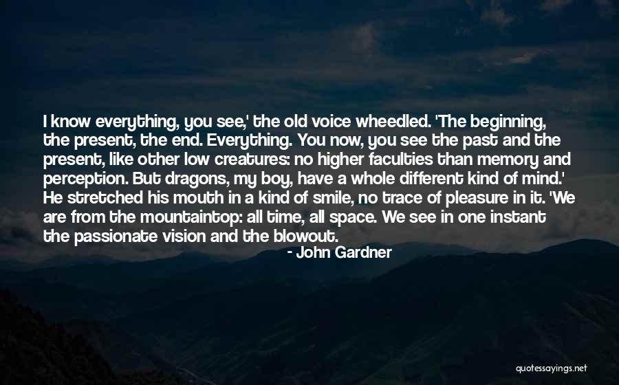 Low Vision Quotes By John Gardner