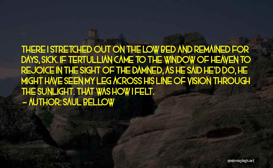 Low Vision Quotes By Saul Bellow