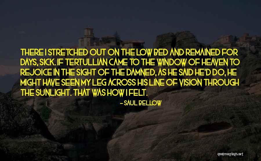 Low Vision Quotes By Saul Bellow