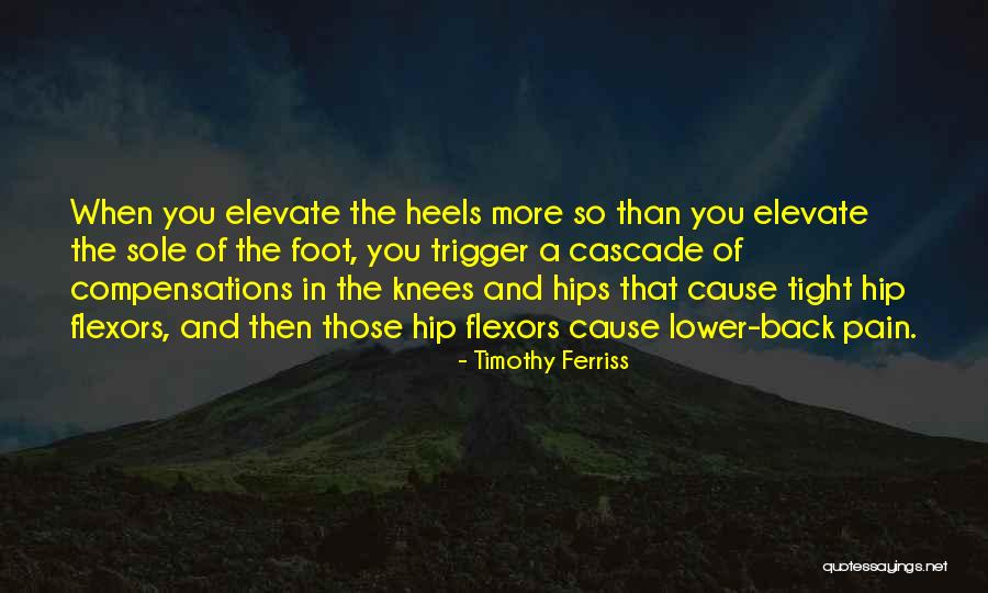 Lower Back Pain Quotes By Timothy Ferriss