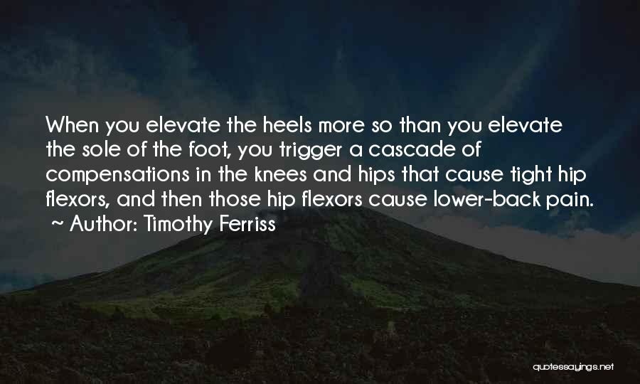 Lower Back Quotes By Timothy Ferriss