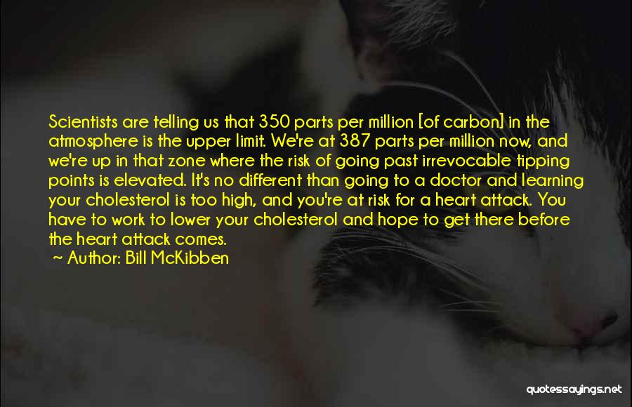 Lower Learning Quotes By Bill McKibben