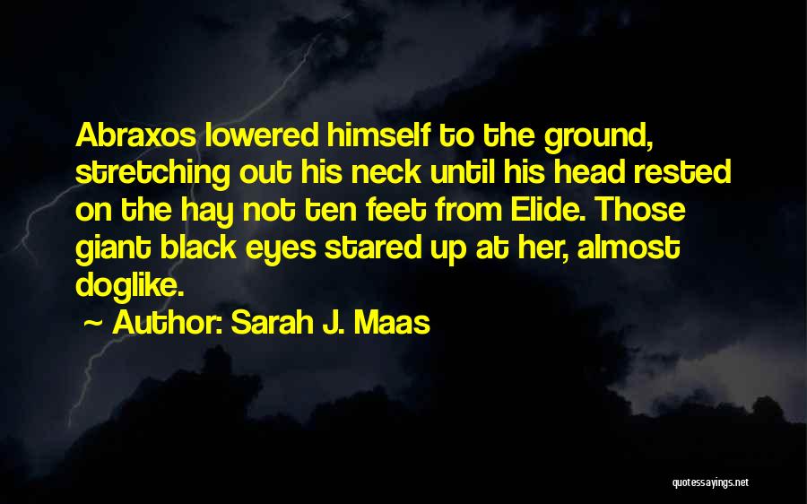 Lowered Eyes Quotes By Sarah J. Maas