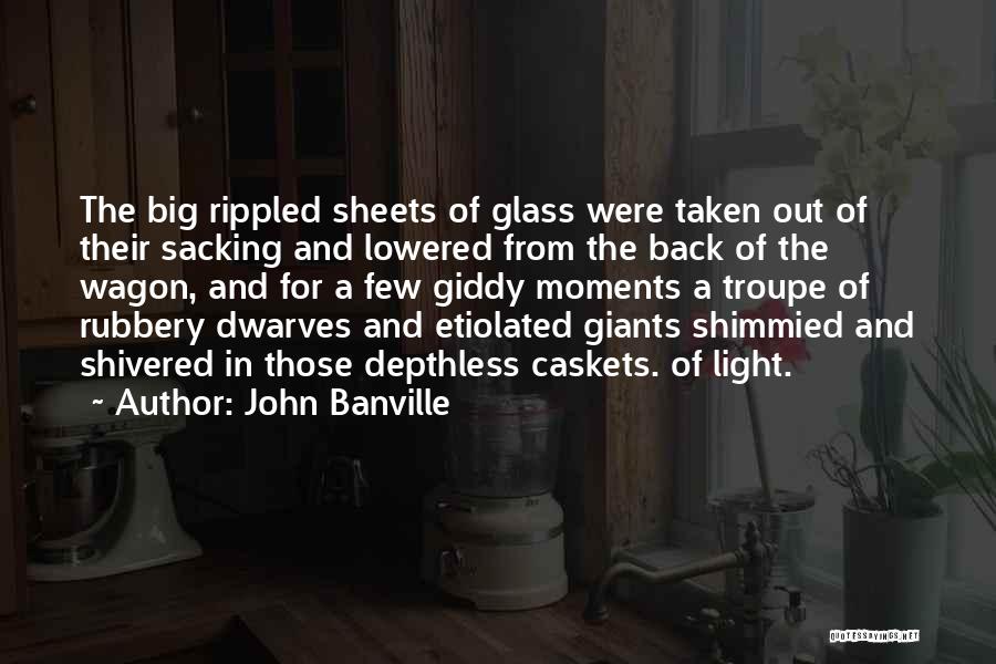 Lowered Quotes By John Banville