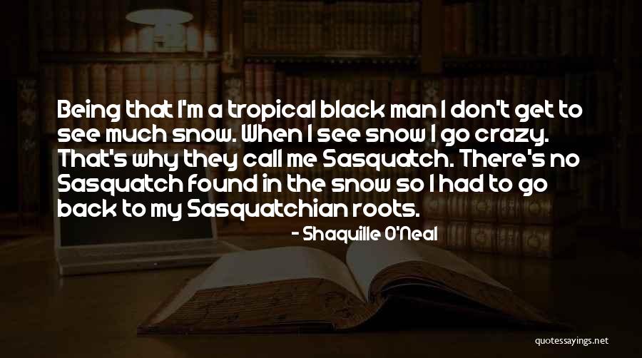 Lowey Sichol Quotes By Shaquille O'Neal Lowey Sichol Quotes By Shaquille O'Neal
