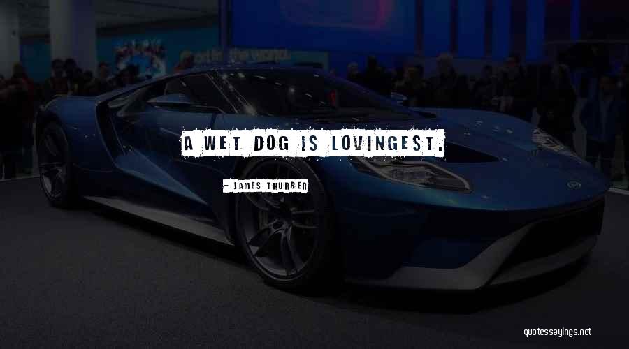 Lowlanders Herds Quotes By James Thurber Lowlanders Herds Quotes By James Thurber