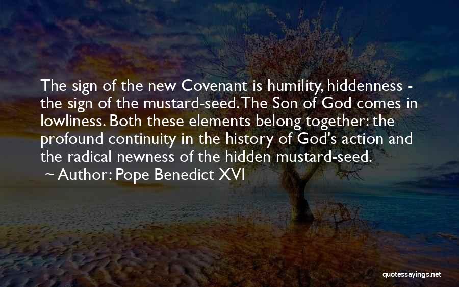 Lowliness Quotes By Pope Benedict XVI