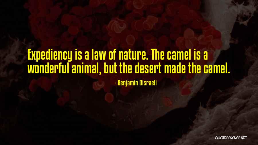 Loyaliteit Milan Quotes By Benjamin Disraeli Loyaliteit Milan Quotes By Benjamin Disraeli