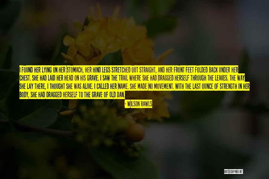 Loyalty And Strength Quotes By Wilson Rawls Loyalty And Strength Quotes By Wilson Rawls