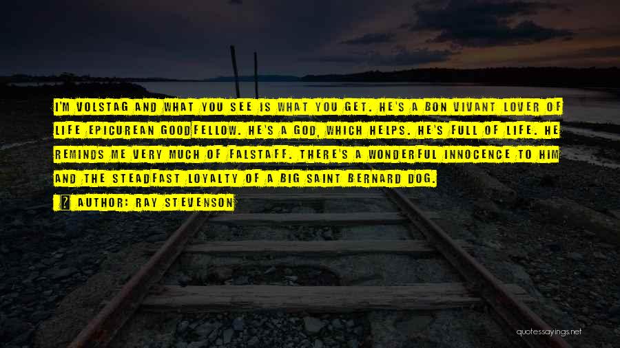 Loyalty To God Quotes By Ray Stevenson