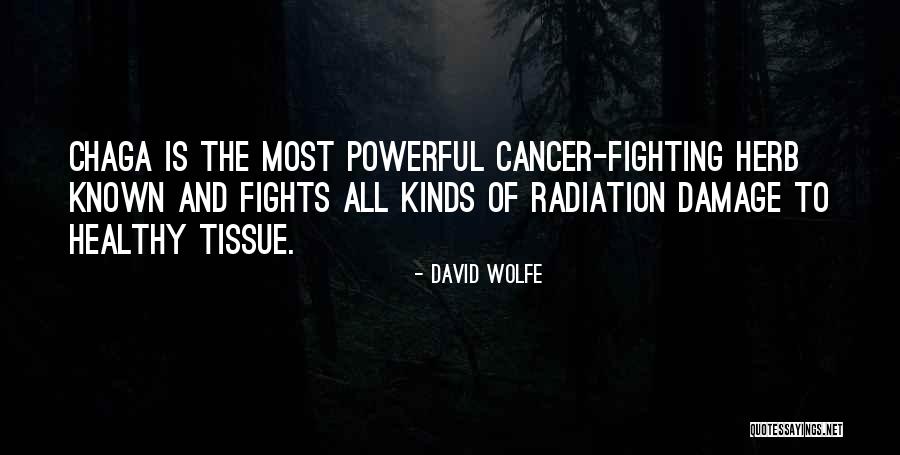 Loyolas Schedule Quotes By David Wolfe Loyolas Schedule Quotes By David Wolfe