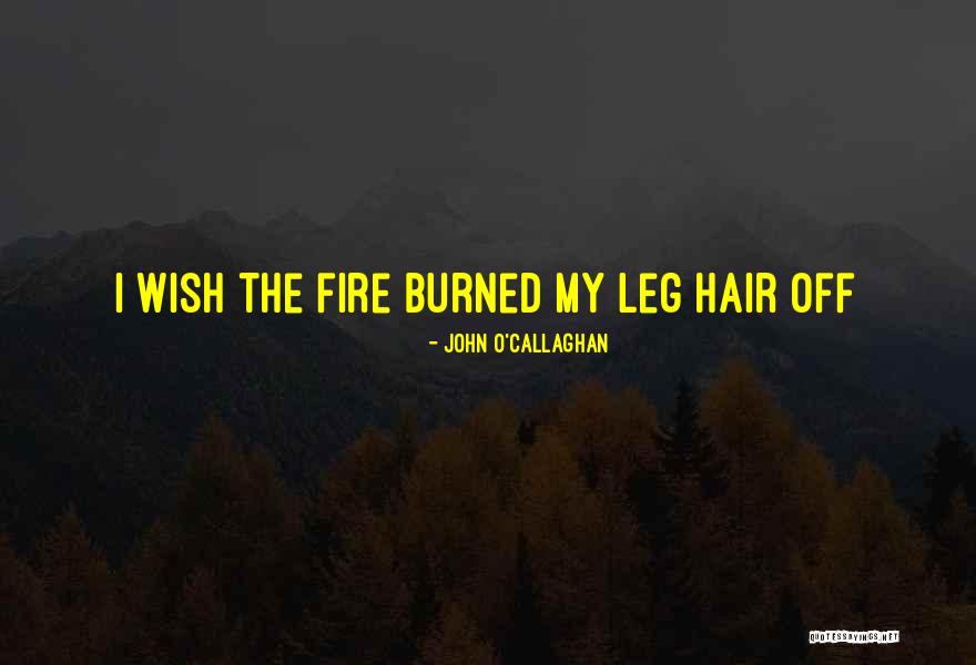 Lozel Ball Quotes By John O'Callaghan Lozel Ball Quotes By John O'Callaghan