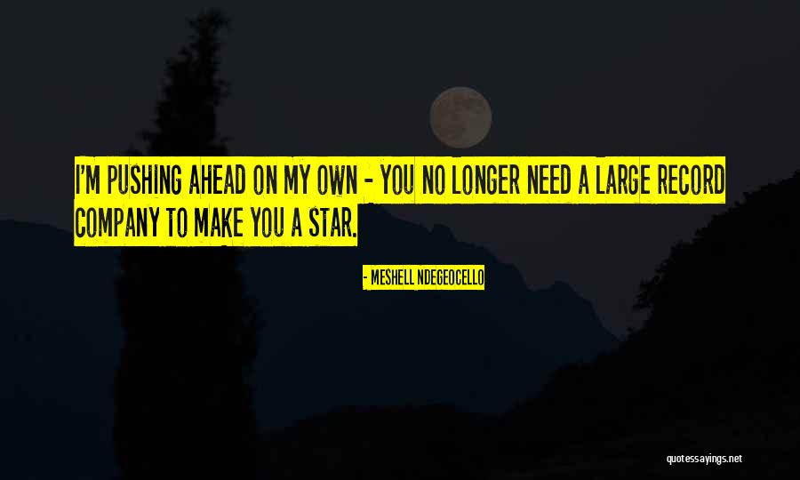 Lozito Medical Quotes By Meshell Ndegeocello Lozito Medical Quotes By Meshell Ndegeocello