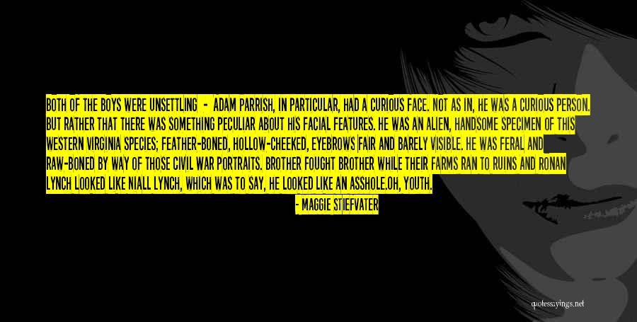 Lozysko Quotes By Maggie Stiefvater Lozysko Quotes By Maggie Stiefvater