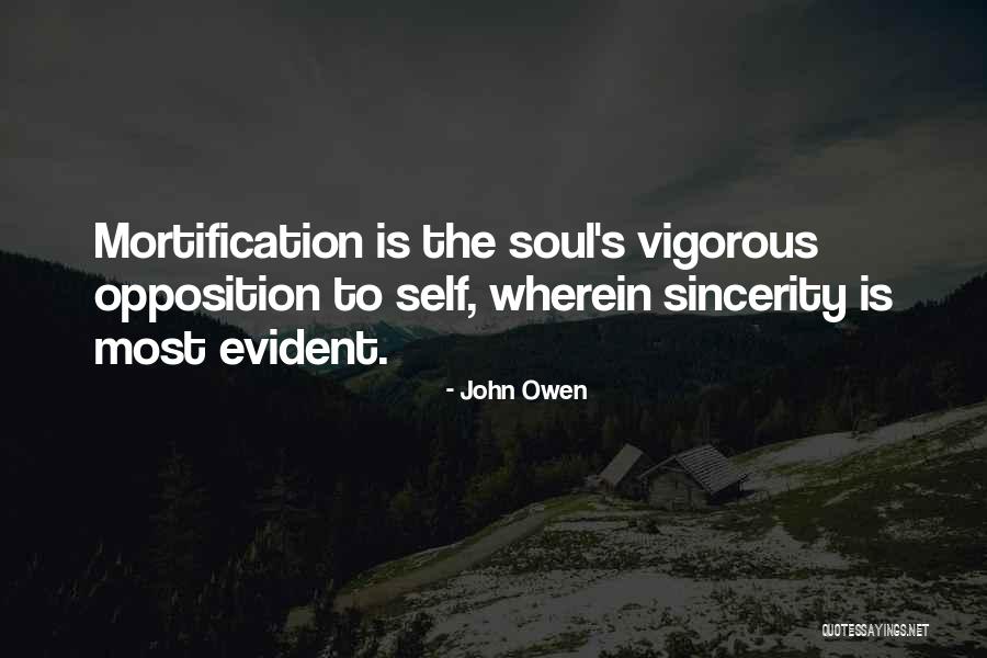 Lrseries Quotes By John Owen Lrseries Quotes By John Owen