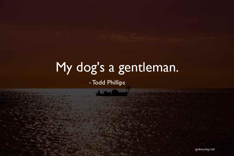 Lsungame Quotes By Todd Phillips Lsungame Quotes By Todd Phillips