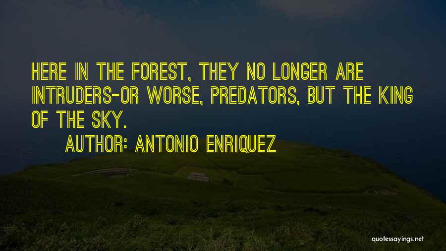 Luanshya Town Quotes By Antonio Enriquez