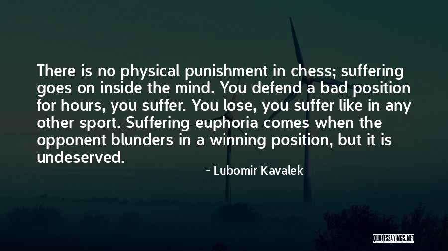 Lubomir Kavalek Quotes 1591534