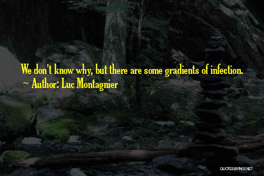 Luc Montagnier Quotes 612667