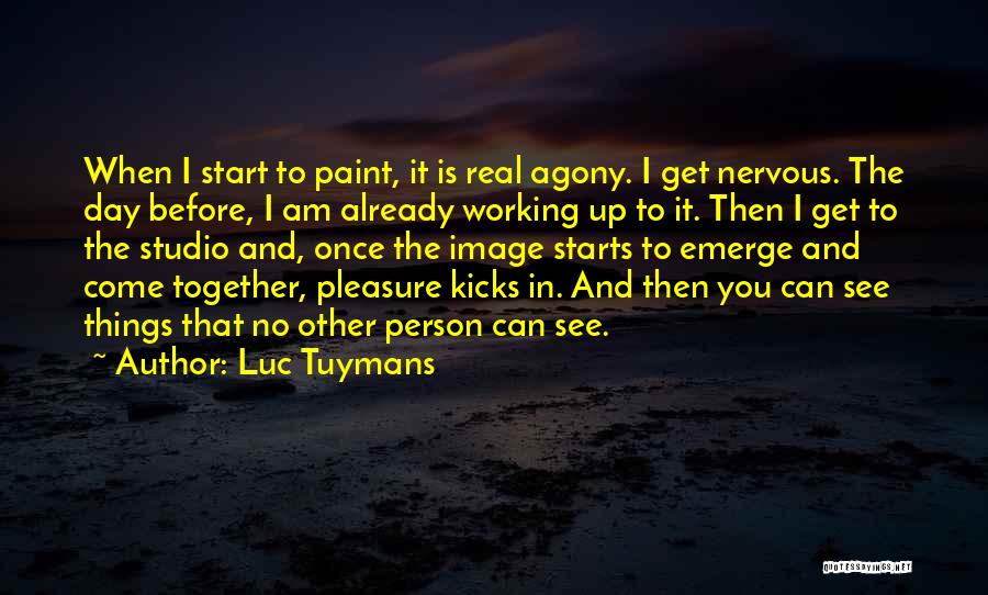 Luc Tuymans Quotes 1183583