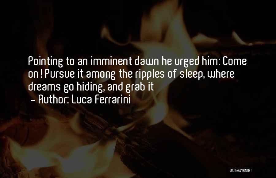 Luca Ferrarini Quotes 1660468