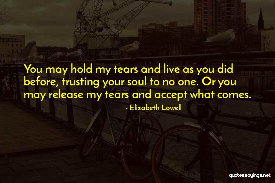 Lucachick Architecture Quotes By Elizabeth Lowell Lucachick Architecture Quotes By Elizabeth Lowell