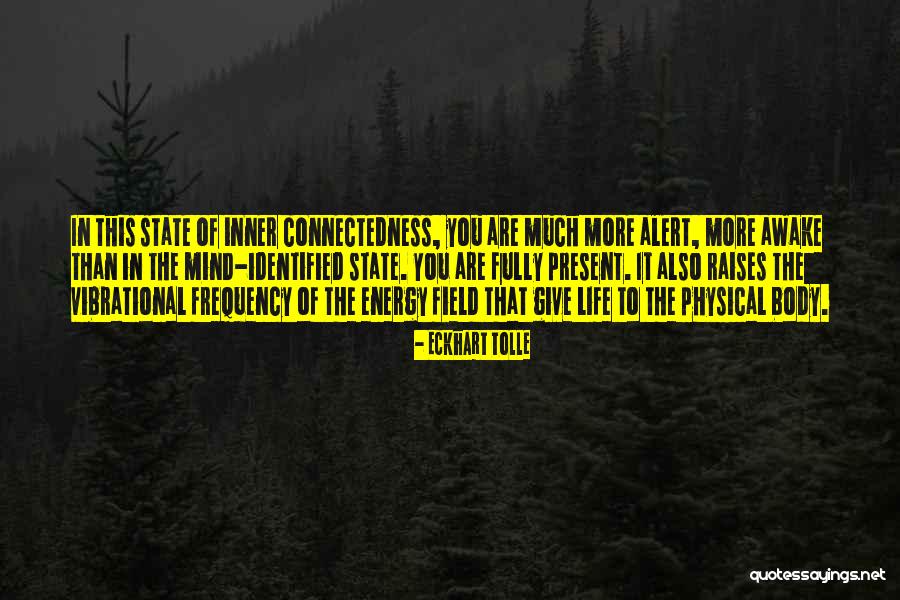 Lucachick Dental International Falls Quotes By Eckhart Tolle Lucachick Dental International Falls Quotes By Eckhart Tolle