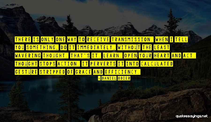 Lucaciu Vasile Quotes By Daniel Odier Lucaciu Vasile Quotes By Daniel Odier
