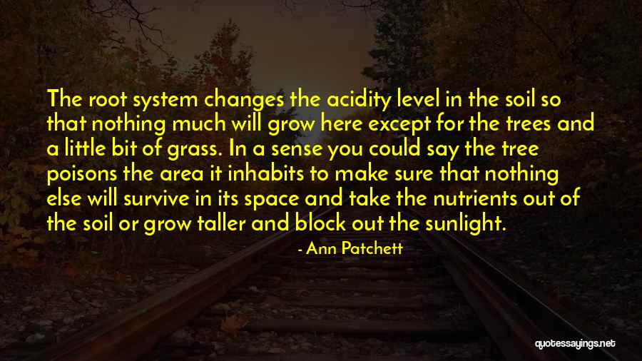 Lucas Duda Quotes By Ann Patchett Lucas Duda Quotes By Ann Patchett