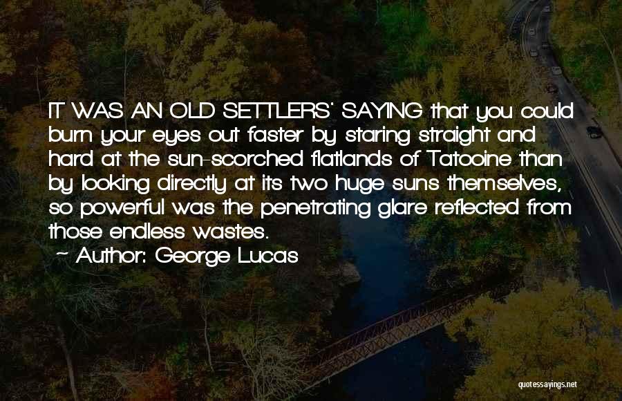 Lucas Quotes By George Lucas