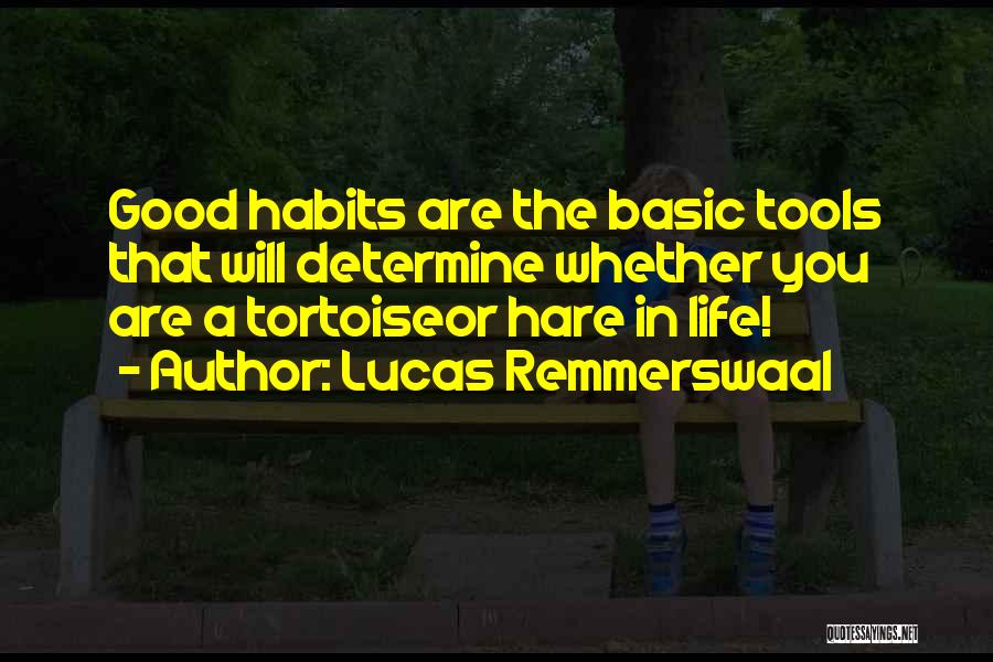 Lucas Remmerswaal Quotes 1806795