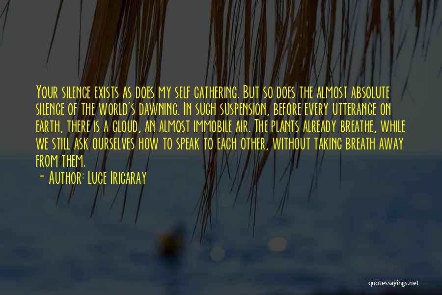 Luce Irigaray Quotes 173770