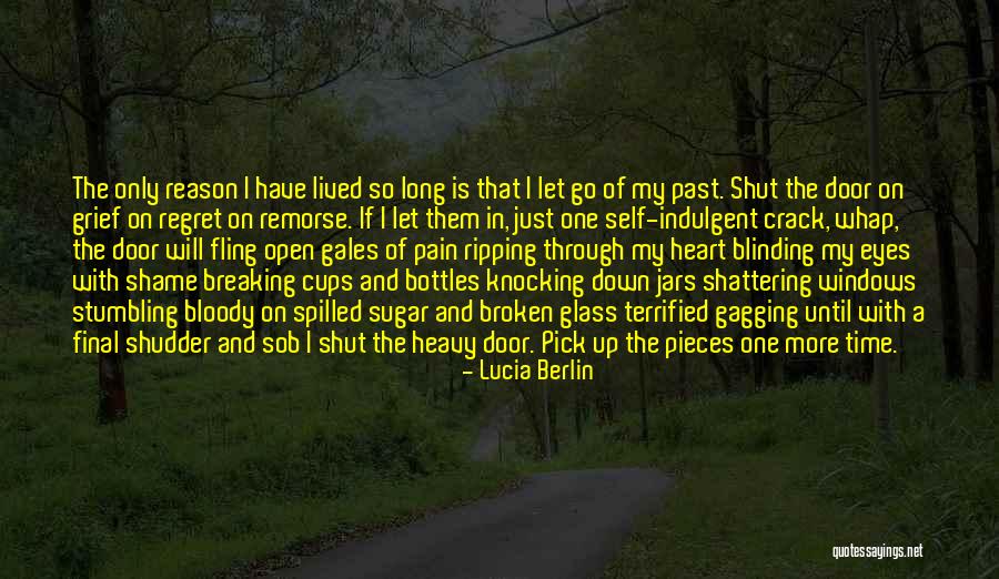 Lucia Berlin Quotes 1505099 Lucia Berlin Quotes 1505099