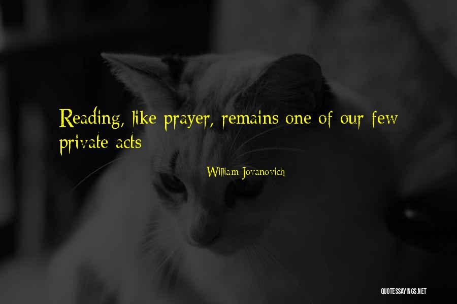 Lucibellos Italian Quotes By William Jovanovich Lucibellos Italian Quotes By William Jovanovich