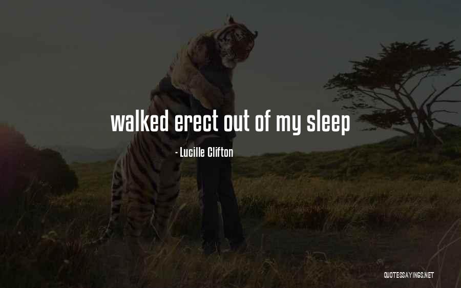 Lucille Clifton Quotes 320167 Lucille Clifton Quotes 320167