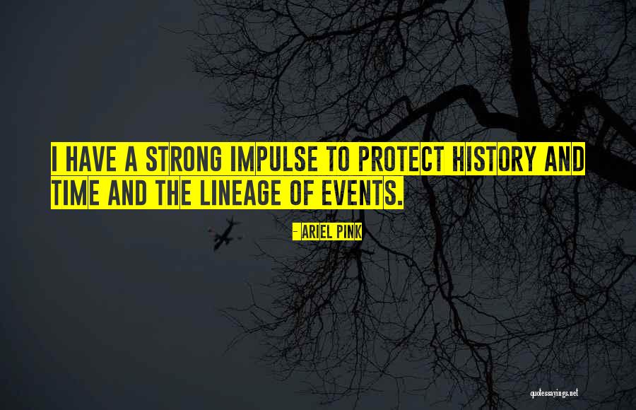 Lucina Fire Emblem Quotes By Ariel Pink Lucina Fire Emblem Quotes By Ariel Pink