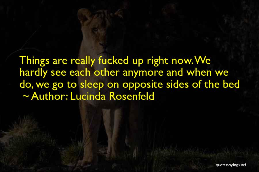 Lucinda Rosenfeld Quotes 1667705
