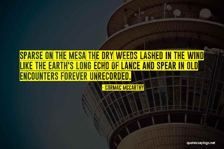 Lucioni Birch Quotes By Cormac McCarthy Lucioni Birch Quotes By Cormac McCarthy