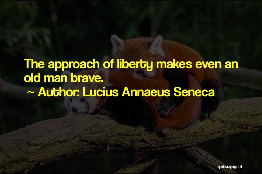 Lucius Annaeus Seneca Quotes 1471657
