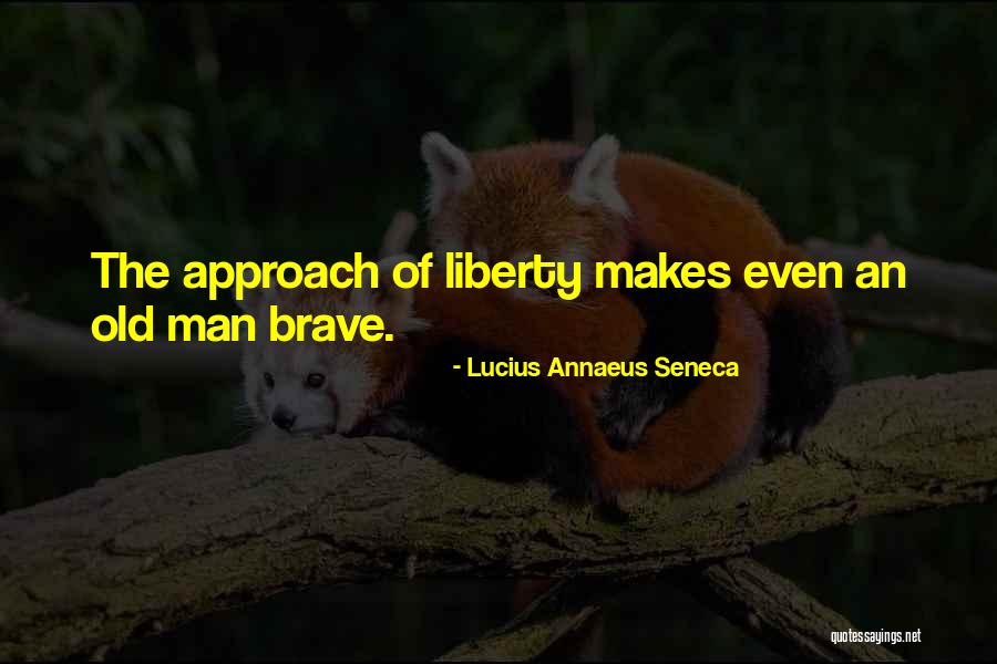 Lucius Annaeus Seneca Quotes 1471657