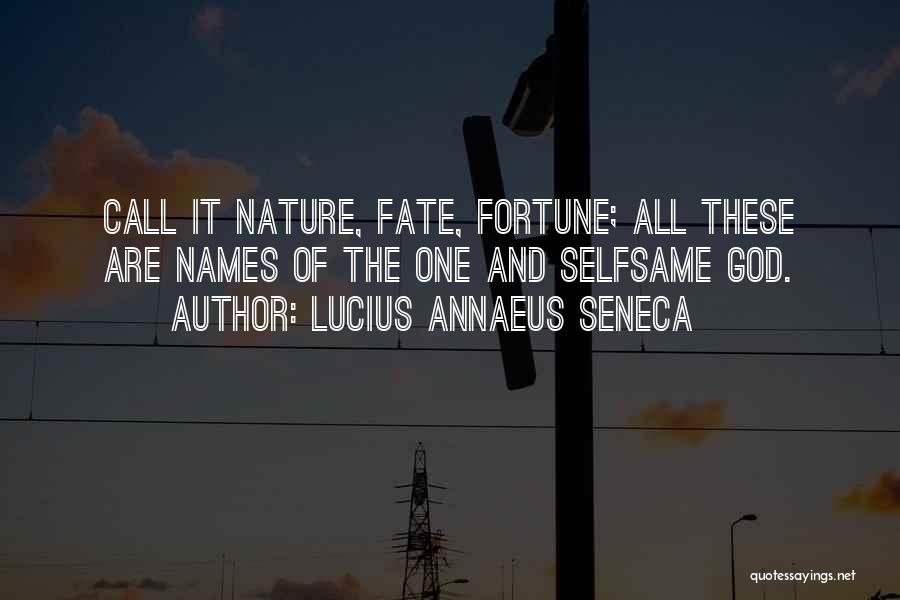 Lucius Annaeus Seneca Quotes 220122