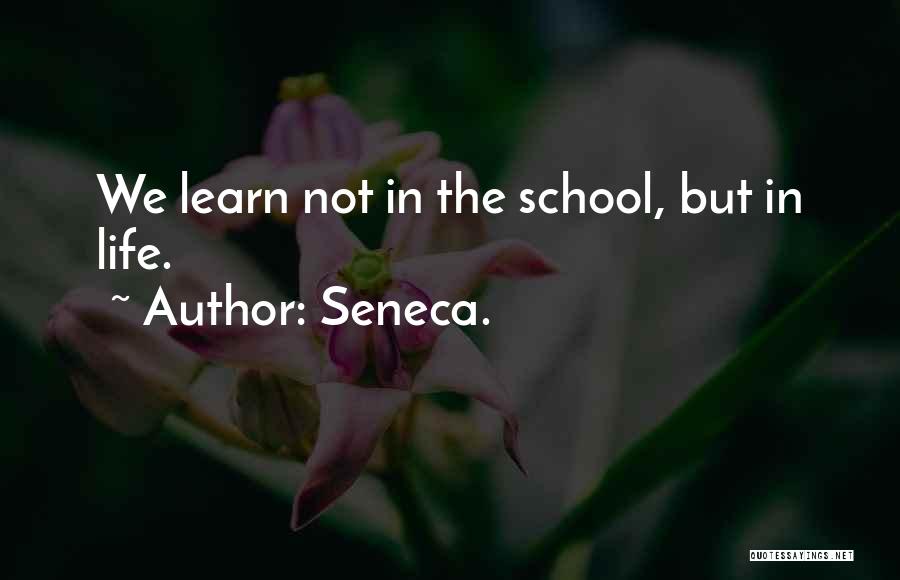 Lucius Quotes By Seneca.