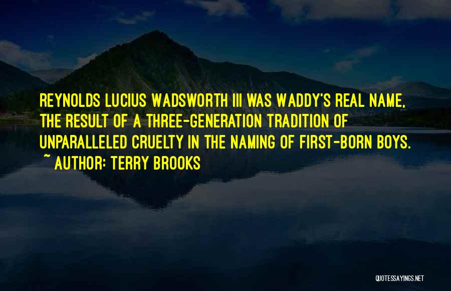 Lucius Quotes By Terry Brooks