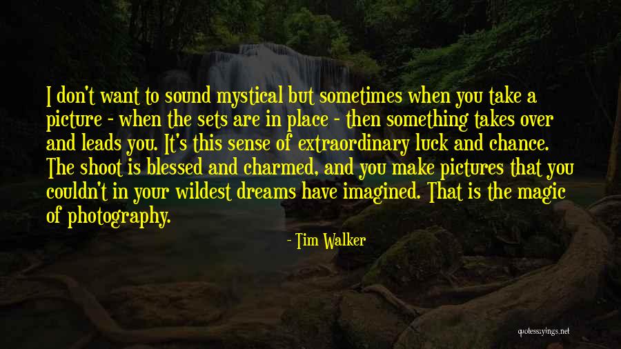 Luck And Chance Quotes By Tim Walker Luck And Chance Quotes By Tim Walker