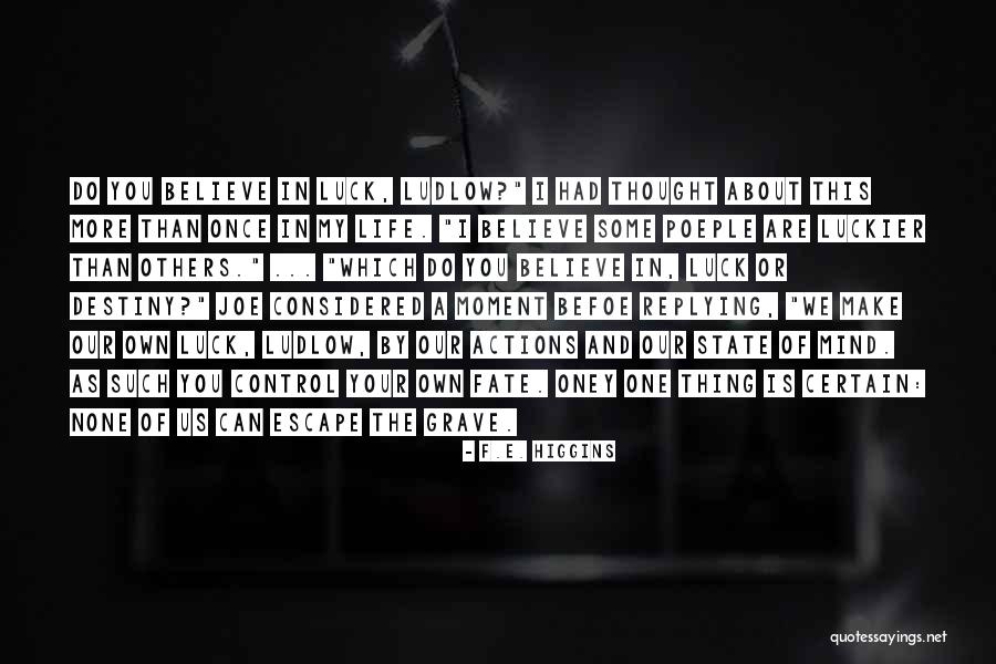 Luck And Destiny Quotes By F.E. Higgins Luck And Destiny Quotes By F.E. Higgins