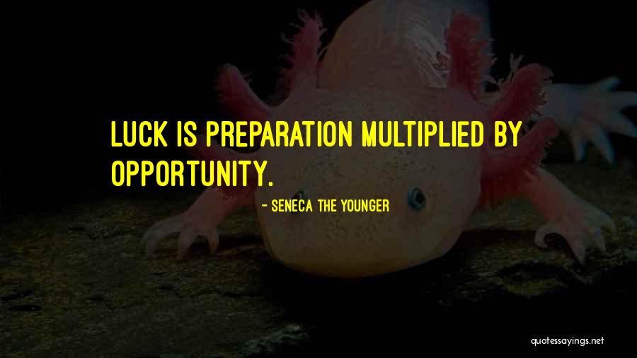 Luck And Preparation Quotes By Seneca The Younger Luck And Preparation Quotes By Seneca The Younger